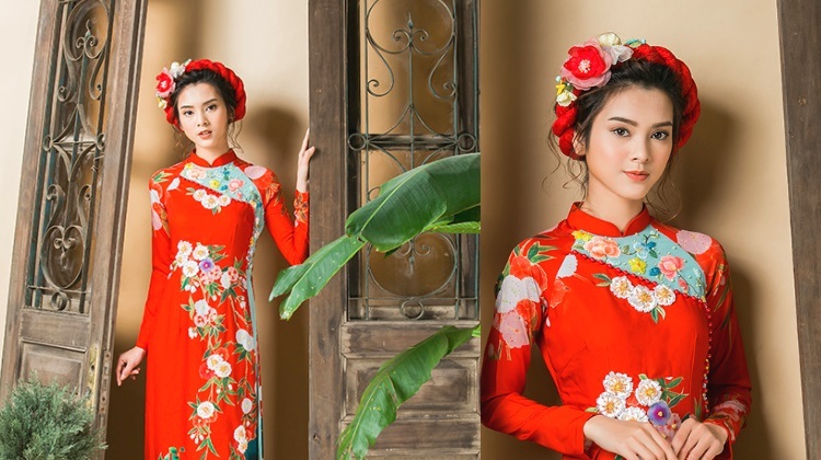 Vietnamese long dress