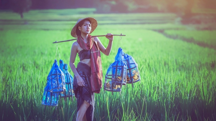 thai woman farmer